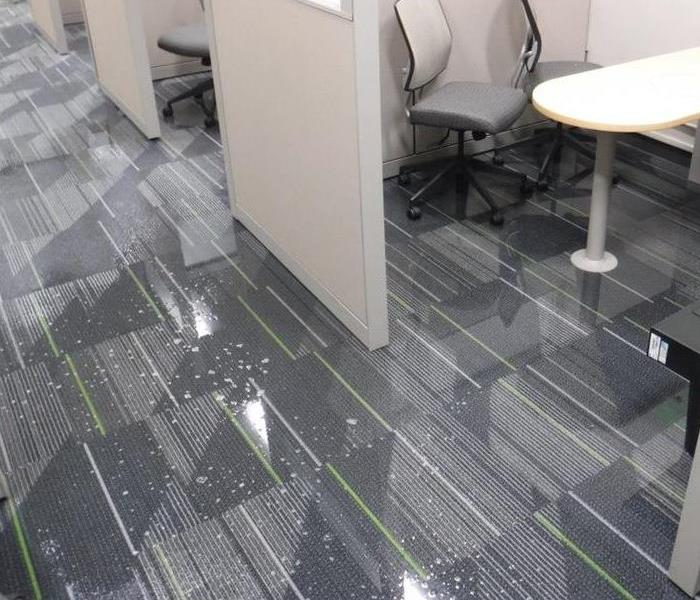 Soaked Office Carpet 